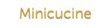 Minicucine